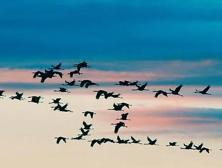 شقة Sonnenschein *